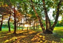 Modele pogodowe pokazują, że we wrześniu mieszkańcy Niemiec mogą liczyć na letnie temperatury