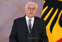 Wybory federalne 2025: Steinmeier rozwiązuje Bundestag i atakuje Elona Muska