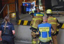 Niemcy: Panika w Aldi – w skrzyni z bananami znaleziono podejrzanego pająka