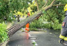 Groźna nawałnica nad Niemcami: Berlin sparaliżowany, setki interwencji straży pożarnej, ranni, utrudnienia w transporcie