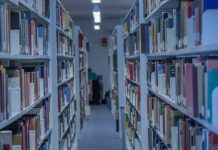 Studia w Niemczech: jak odnaleźć się w niemieckim systemie edukacji