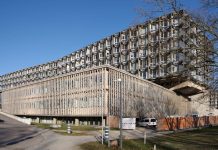 Brud, karaluchy i skandal higieniczny w izbie przyjęć szpitala Charité w Berlinie