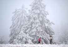 Temperatury nawet do -12°C: Niemcy szykują się na najzimniejsze Boże Narodzenie od 15 lat!