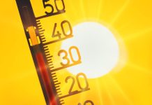 Niemcy: Nadciąga fala upałów — nawet do 37 stopni Celsjusza. Groźne tropikalne noce w prognozach