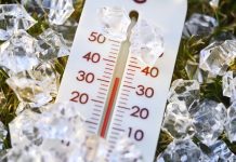 Niebezpieczne lato w Niemczech: możliwe nawet 43°C i długotrwała susza