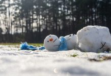 Niemcy: Wiosna w adwencie — do 18°C, ale bez słońca. Jakie będą skutki tej nagłej odwilży?