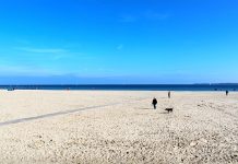 Sprzeciw wobec mandatu w wysokości 60 euro rozpatrzony pozytywnie: sędzia zezwala na sikanie do Bałtyku