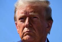 Trump kpi z energetyki wiatrowej w Niemczech