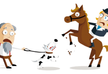 Mieszkasz w Niemczech i posiadasz zwierzę? Dowiedz się które ubezpieczenia warto wykupić!