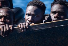 Polityka azylowa: Polska popiera plany utworzenia saksońskiej policji granicznej