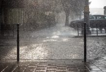 Katastrofa pogodowa w Niemczech: osuwisko błotne sparaliżowało Obergurig w Saksonii