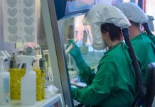 Wirus Zachodniego Nilu wykryty po raz pierwszy w tym roku w Berlinie