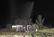 Katastrofa ekologiczna w Brandenburgii – 200 000 litrów ropy na polu