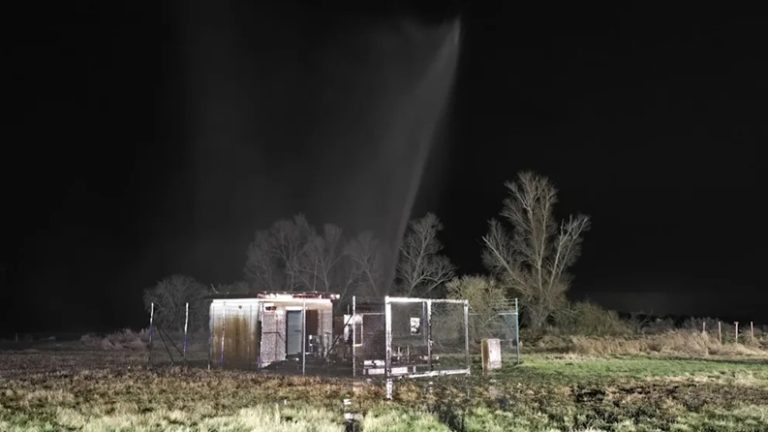 Katastrofa ekologiczna w Brandenburgii – 200 000 litrów ropy na polu