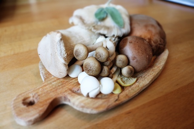Zbieranie grzybów w Niemczech – dozwolone ilości i obowiązujące regulacje!