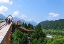 14 najpiękniejszych ścieżek w koronach drzew w Niemczech