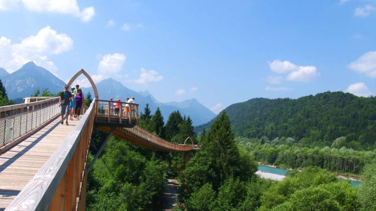 14 najpiękniejszych ścieżek w koronach drzew w Niemczech