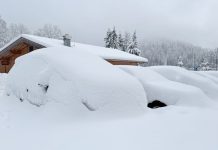 Niemcy pod śniegiem: nagły atak zimy sparaliżował południe kraju