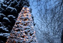 Niemcy: Czy w 2025 roku czeka nas wreszcie biały świąteczny poranek? Prognozy meteorologów dla Badenii-Wirtembergii