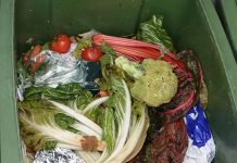 Niemcy: SPD domaga się końca kar za ratowanie wyrzucanej żywności