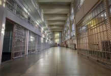 Drezno: W przeciągu czterech dni dwóch podejrzanych o pedofilię umarło w areszcie