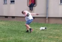 Niemcy: Mężczyzna zaatakował sąsiadów mieczem samurajskim