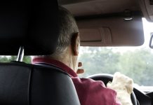 Plany Komisji Europejskiej: federalny minister transportu jest przeciwny zaostrzeniu przepisów dla kierowców powyżej 70. roku życia