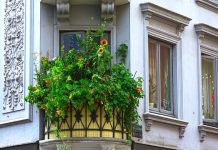Ogródek na balkonie: co wolno lokatorom w Niemczech?