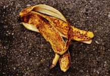 Odpady są w Niemczech kontrolowane: nawet 100 euro kary za skórkę od banana pozostawioną po pikniku na łonie natury