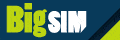 bigsim