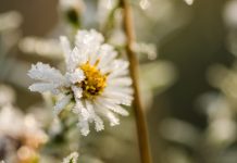 Prognoza pogody dla Niemiec na nowy tydzień: powiew lata już prawie za nami, od wtorku gwałtowny spadek temperatur