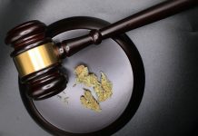 Rząd federalny chce zezwolić na posiadanie większej ilości marihuany