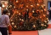 „Ostatnie pokolenie” maluje sprayem choinki w całych Niemczech