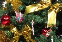 Hamburg: Mężczyzna przekazał choinkę na rzecz przedszkola i został ukarany grzywną