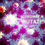 coronavirus mutation