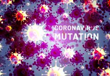 Zaraźliwy jak Omikron, śmiercionośny jak Delta? Christian Drosten obawia się nowej mutacji koronawirusa