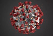 Potwierdzono pierwszy przypadek wariantu „Deltakron” w Niemczech – jak niebezpieczna jest nowa mutacja koronawirusa?