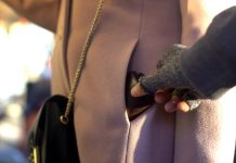 Niemiecki związek zawodowy policjantów spodziewa się wzrostu przestępczości po wprowadzeniu biletu za 49 euro