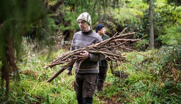 Zbieranie drewna opałowego w Niemczech – oto, co wolno, a kiedy można spodziewać się grzywny nawet do 100 000 euro!