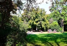 Drezdeński Volkspark ma się nazywać inaczej, ponieważ aktualna nazwa „nie nadąża za duchem czasu”