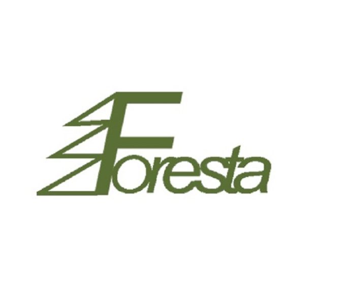 Foresta Place Zabaw