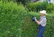 Niemcy: czy można odliczyć od podatku koszty usług ogrodniczych?