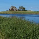 hallig