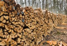 Kryzys energetyczny w Niemczech: drewno opałowe i pellet drzewny mocno podrożały