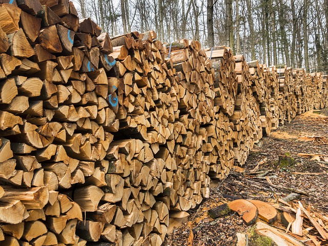 Kryzys energetyczny w Niemczech: drewno opałowe i pellet drzewny mocno podrożały