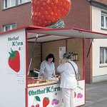 Sprzedawca truskawek