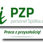 Inżynier Oprogramowania/Automatyzacja Strategiczna