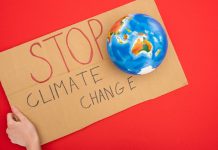 Strajk głodowy w Berlinie: niektórzy z aktywistów klimatycznych chcą wkrótce odmówić przyjmowania płynów!