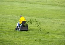 Przepisy ruchu drogowego w Niemczech: kosiarki z siedziskiem nie muszą być ubezpieczone tak, jak pojazdy mechaniczne