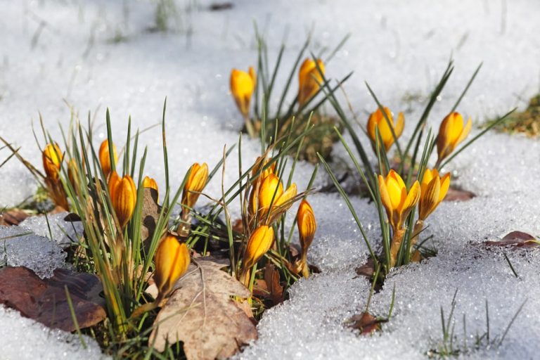 Na weekend meteorolodzy zapowiadają w Niemczech ochłodzenie, silny wiatr i opady śniegu